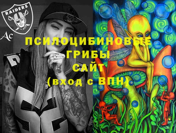 СК Пестово