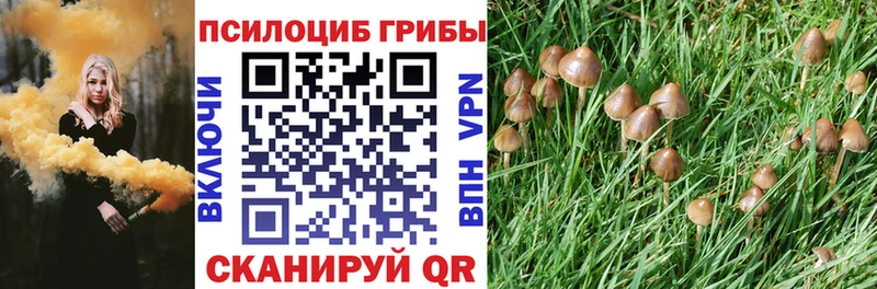 Галлюциногенные грибы Cubensis  Гуково 